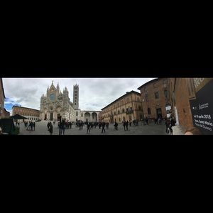 Meet your Posher, Ann